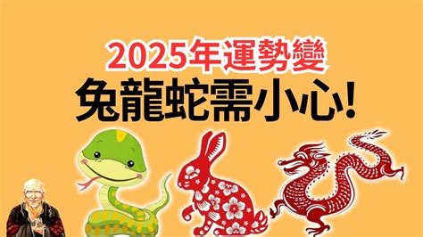 65年次屬龍房屋座向|揭秘：屬龍最佳坐向